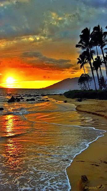Stunning Tropical Beach Sunset 