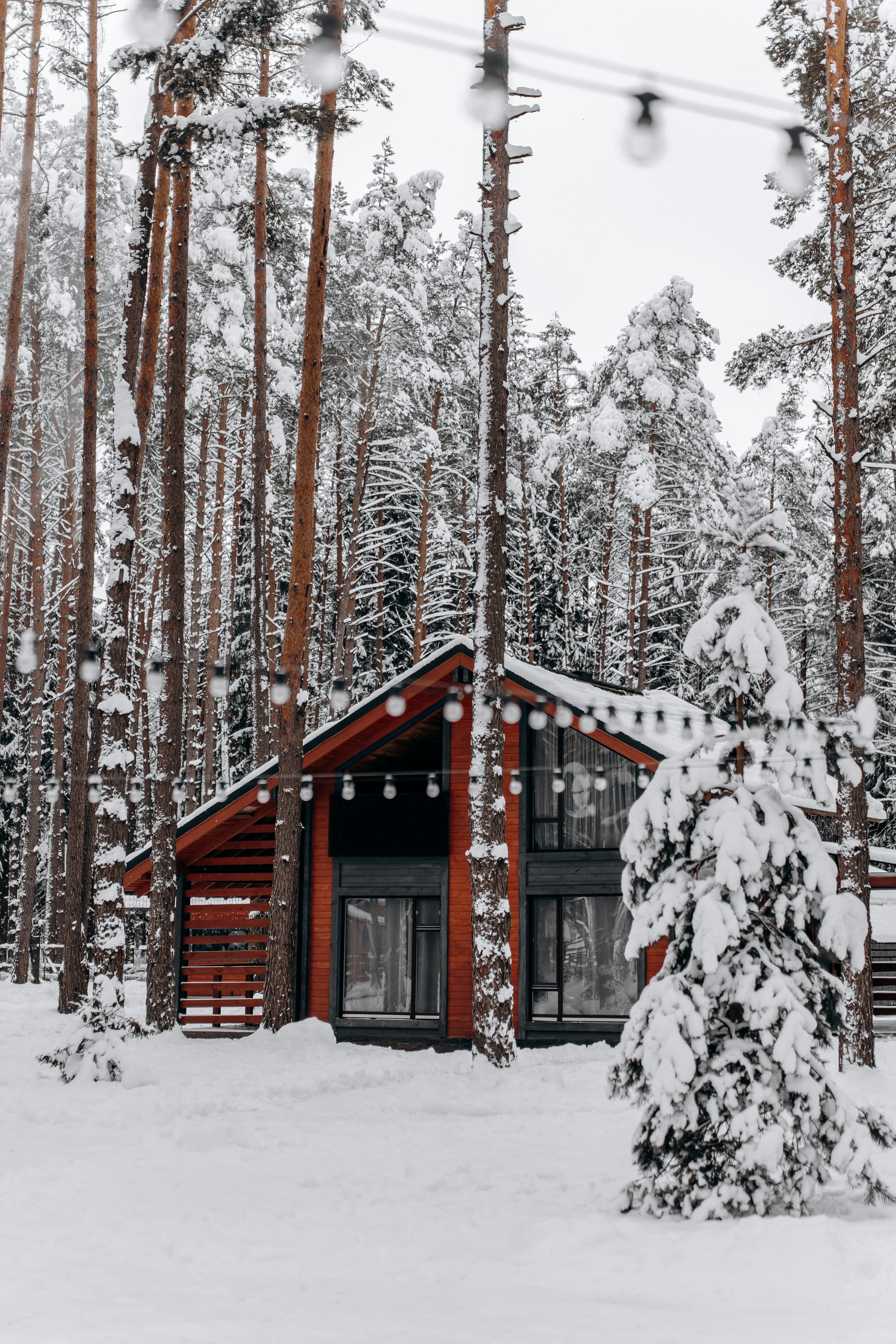 Cozy Winter Cabin in Snowy Forest