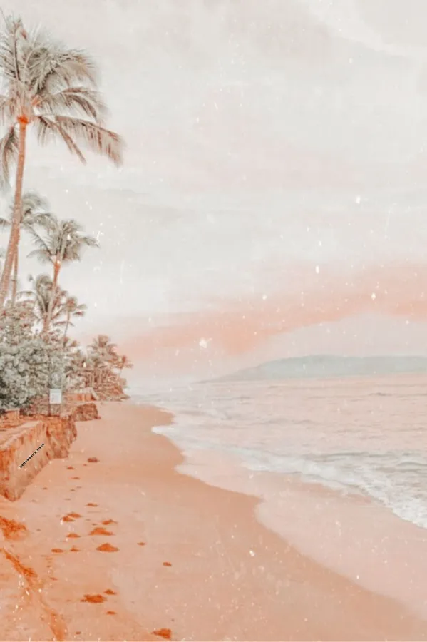 Dreamy Tropical Beach Background