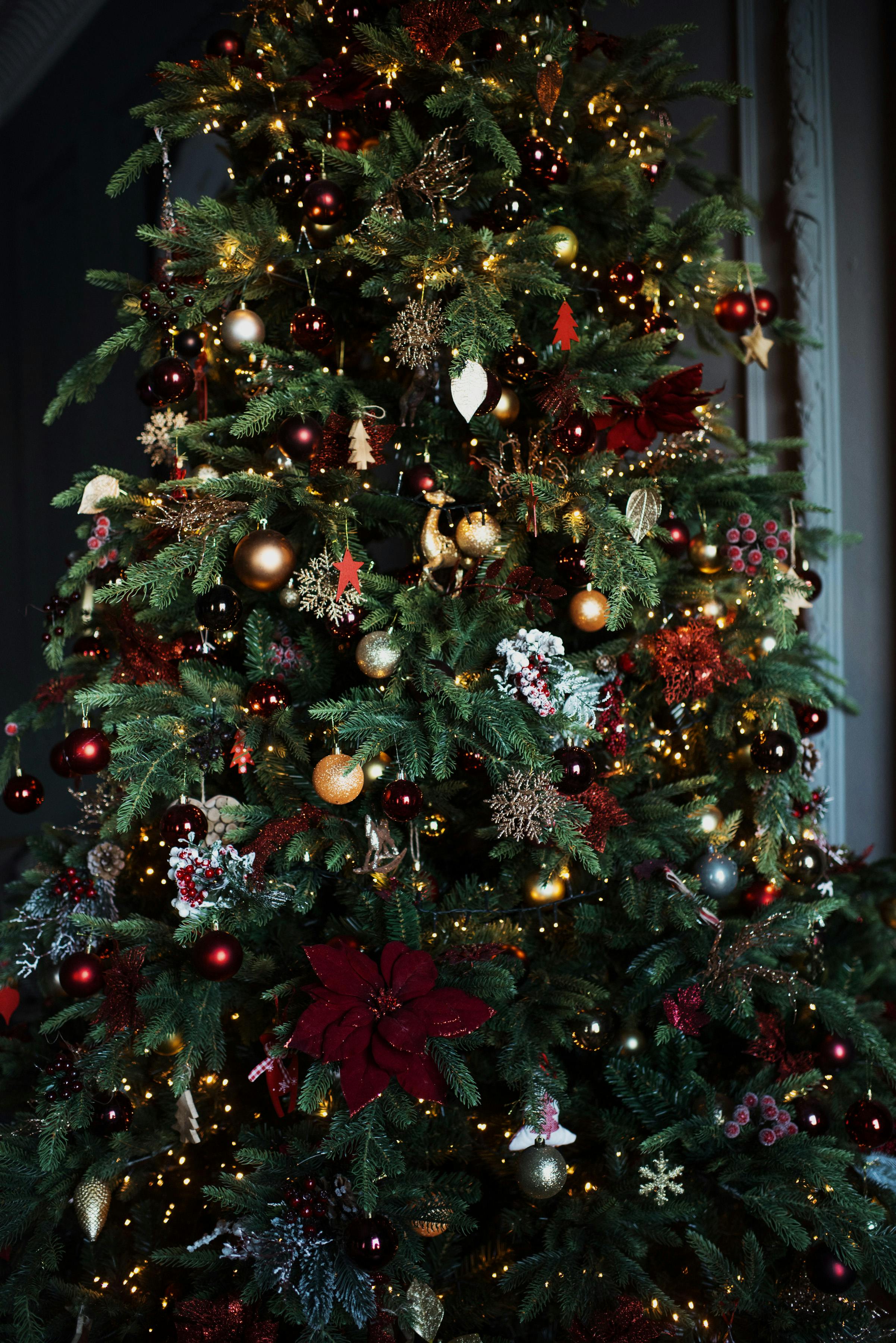 Elegant Decorated Christmas Tree