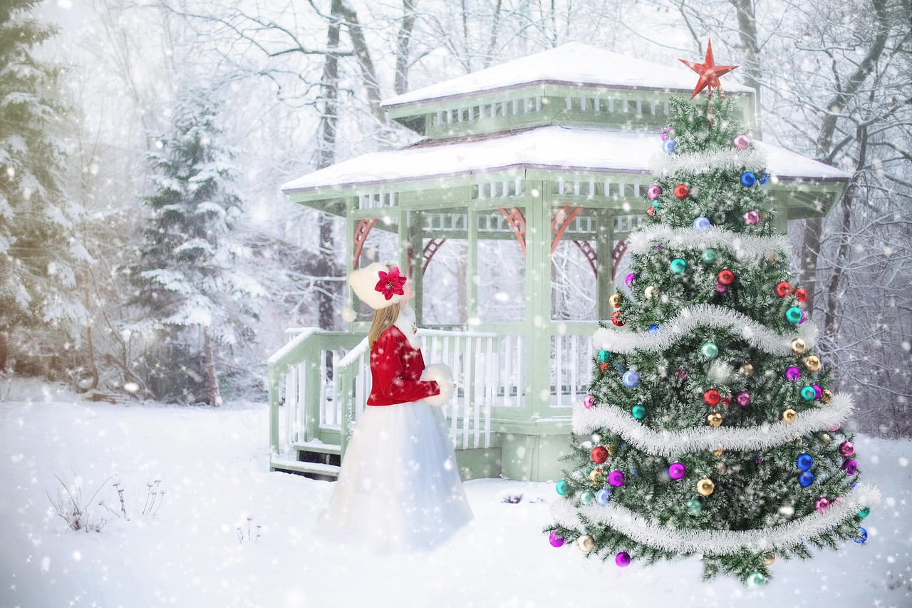 Enchanting Outdoor Christmas Scene