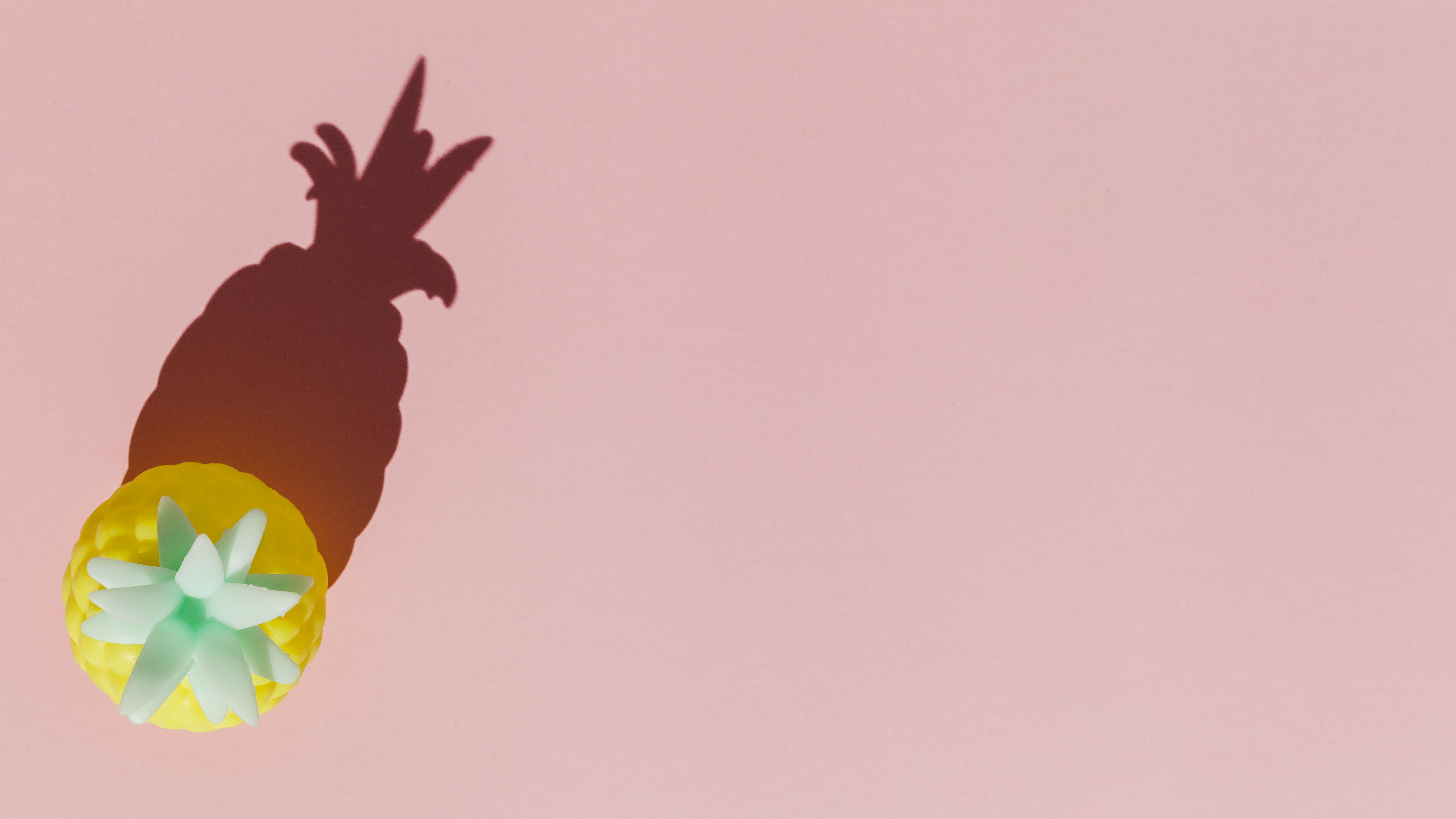 Minimalist Pineapple Shadow